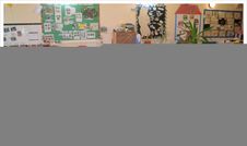my gallery